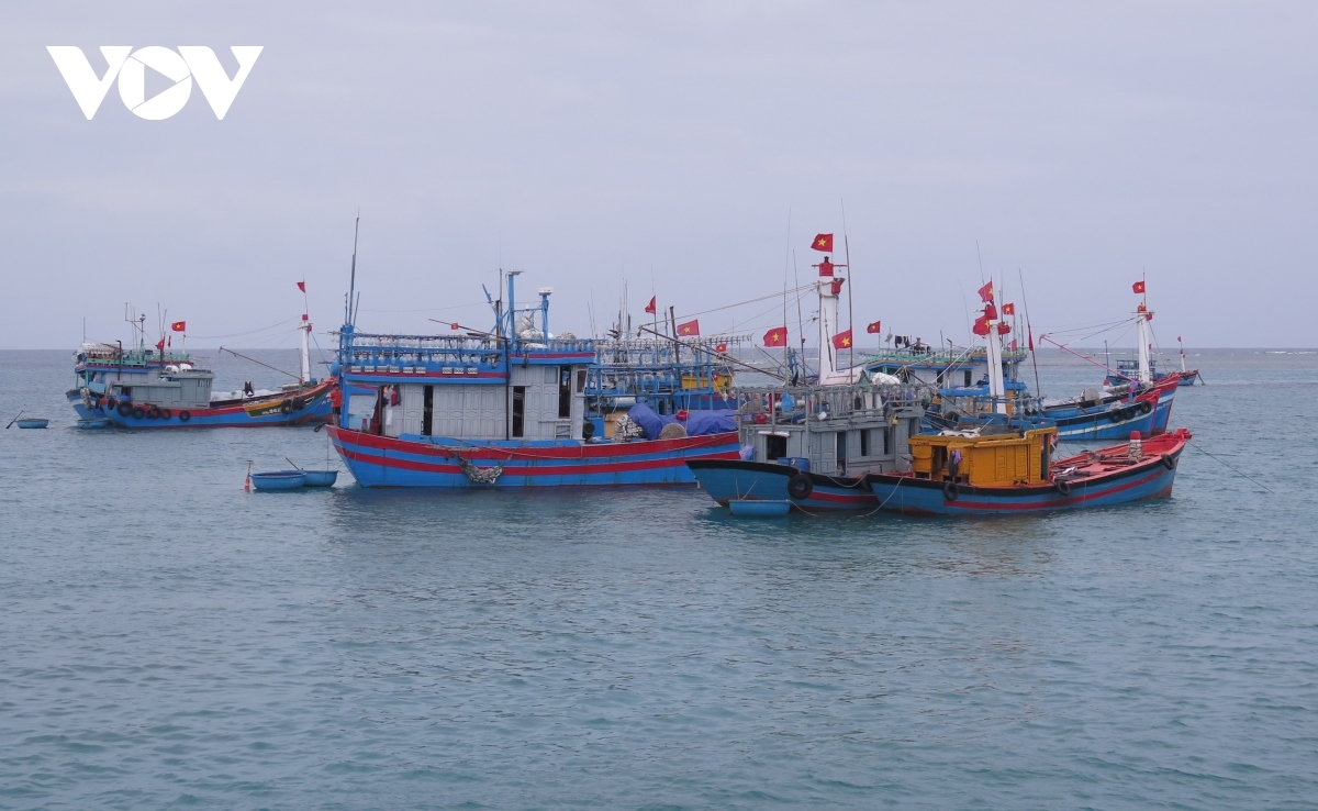 Vietnam Fisheries Society opposes China’s fishing ban in East Sea
